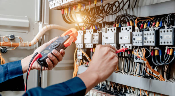 Best Electric Panel Repair  in Holgate, OH