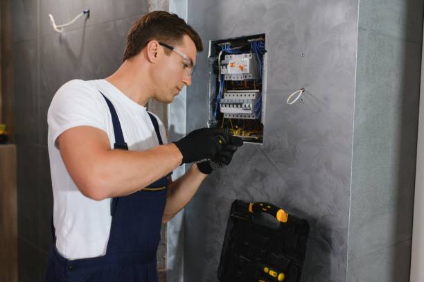 Best Electrical Troubleshooting Services  in Holgate, OH